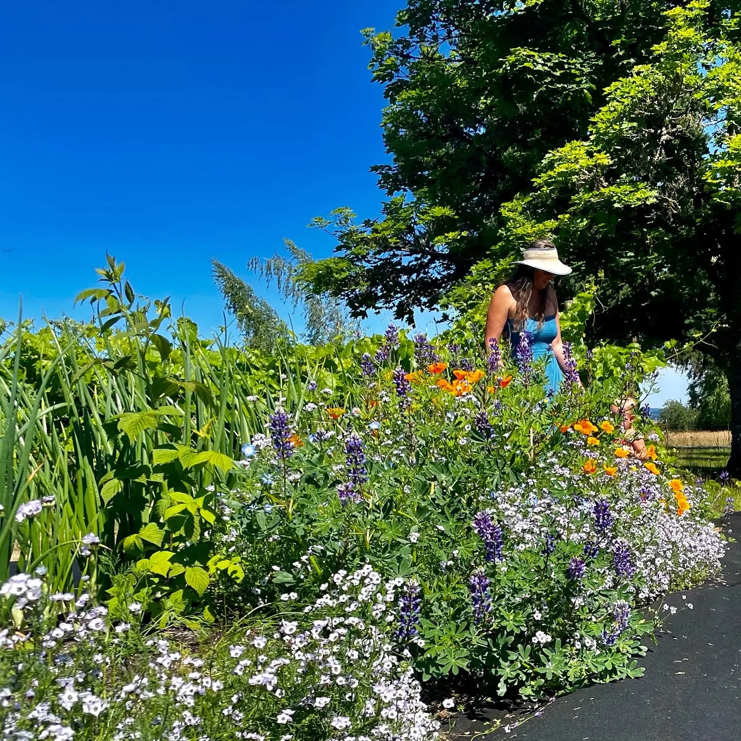 Emma in the flower patch 